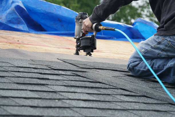 Best Roof Repair Services  in St Marys, OH